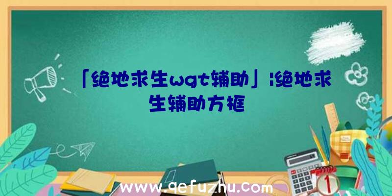 「绝地求生wgt辅助」|绝地求生辅助方框